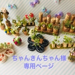 ちゃんきんちゃん様専用ページ🍀