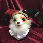 ピエロチワワ・ジョーカー