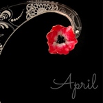 アネモネピアス(赤)