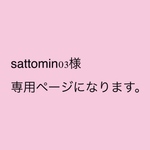 sattomin03様専用ページになります。