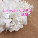レターパックプラスへの変更