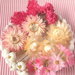 【ドライフラワープチセット155】スターチス＆貝細工＆かんざし姫＆花かんざし蕾