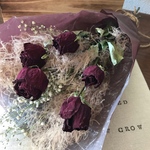 赤バラとスモークツリーのドライ