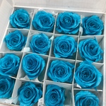 希少トルコブルーシルバーラメ加工❣️薔薇小分け❣️ハーバリウム花材プリザーブドフラワー2輪