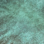 ✴︎ 妖精の鱗粉 Emerald ✴︎