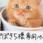 ♥ぽぽきち様専用ページ♥合皮キルティング生地（ブラック）ショルダーバッグ♥