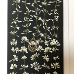 再販☆押し花素材66 ユーフォルビア☆ 