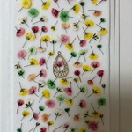 再販☆押し花素材69 かすみ草カラフルセット☆