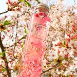 【人気再販☆送料無料】華やか桜色のハーバリウム【ラッピング無料】