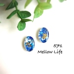 571 ブルーシェル×ホヌ 小ぶり ピアス ノンホールピアス