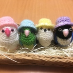 インコちゃん用春色ぼうし（ライラック）