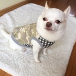 カモフラギンガムタンク Msize