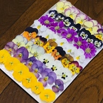 お花屋さんが作った本日のドライフラワーmix   あ-②