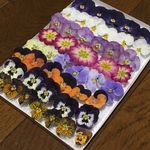 お花屋さんが作った本日のドライフラワーmix   あ-④