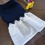 【完成品】ネイビー×白レースワンピ 犬服 ハンドメイド