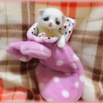 よしろんギャラリー200作品目  にゃんこしゃん