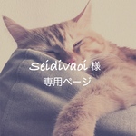 seidivaoi様 専用ページ