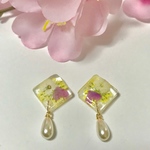 押し花スクエアとしずくパールのピアスorイヤリング