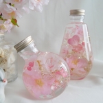 はなびら～桜日和～　ふんわりとほっこりなフラワーリウム♡