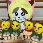 ゆず太郎(小)