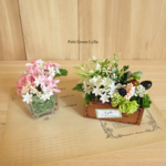 Petit Green Arrange 305