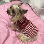 2着限定特価！！着せやすい犬服！オーダーメイド・犬服・わんちゃんのチロル風ギンガムチェックのワンピース♪