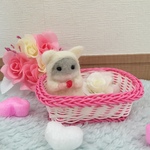 羊毛フェルトハムスター(パールホワイト、猫着ぐるみver)