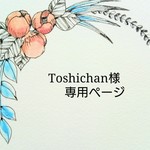 Toshichan様 専用＊    