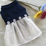 【再販×2‼︎ラスト1着‼︎オーダー可】ネイビー×白レースワンピ 犬服 ハンドメイド 