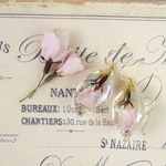 桜の宝石ピアス＊ソメイヨシノ＊本物のお花（14kgf、樹脂、チタンの各フックもございます）