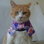 和モダン着物コスプレ
