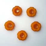 チェコ  フラワー  みかん  5粒