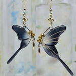 normal model , Transparent black butterfly