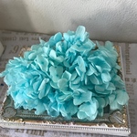 ラグーンブルー本日入荷❣️ハーバリウム花材プリザーブドフラワー紫陽花小分け