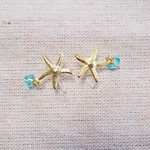 記念価格送料込￥520♡～スターフィッシュイヤリング♪～