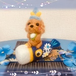 端午の節句♪トイプードルちゃん♪