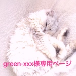 green-xxx様専用ページ