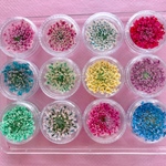  12色（60枚以上＋10枚）🌼レインボー★ レースフラワー🌈ケース付(各色5枚)★(>◡<๑)/🌼ハンドメイド20⑩