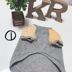 ラングランTシャツ①名入り