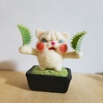 《jumd様オーダー》はえとり草になってみたブサネコさん
