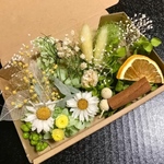 春のお花ミモザのハーバリウム花材 ドライフラワー 花材セット