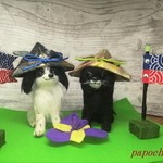 オーダー様用二匹のこどもの日