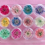 12色（60枚以上＋10枚）🌼レインボー★ レースフラワー🌈ケース付(各色5枚)★(>◡<๑)/🌼ハンドメイド20⑬