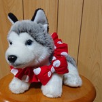 ＱTシュシュ(赤ドット)