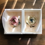 K様専用ページ