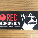 ボストンテリア　ドライブレコーダーステッカー