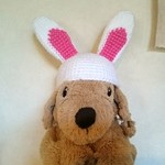 わんこ用かぶりもの！うさぎさん☆Mサイズ