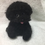 羊毛フェルト ブラックぷ〜ちゃん