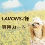 LAVONS♪様オーダー