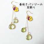 春咲きパンジーの耳飾り